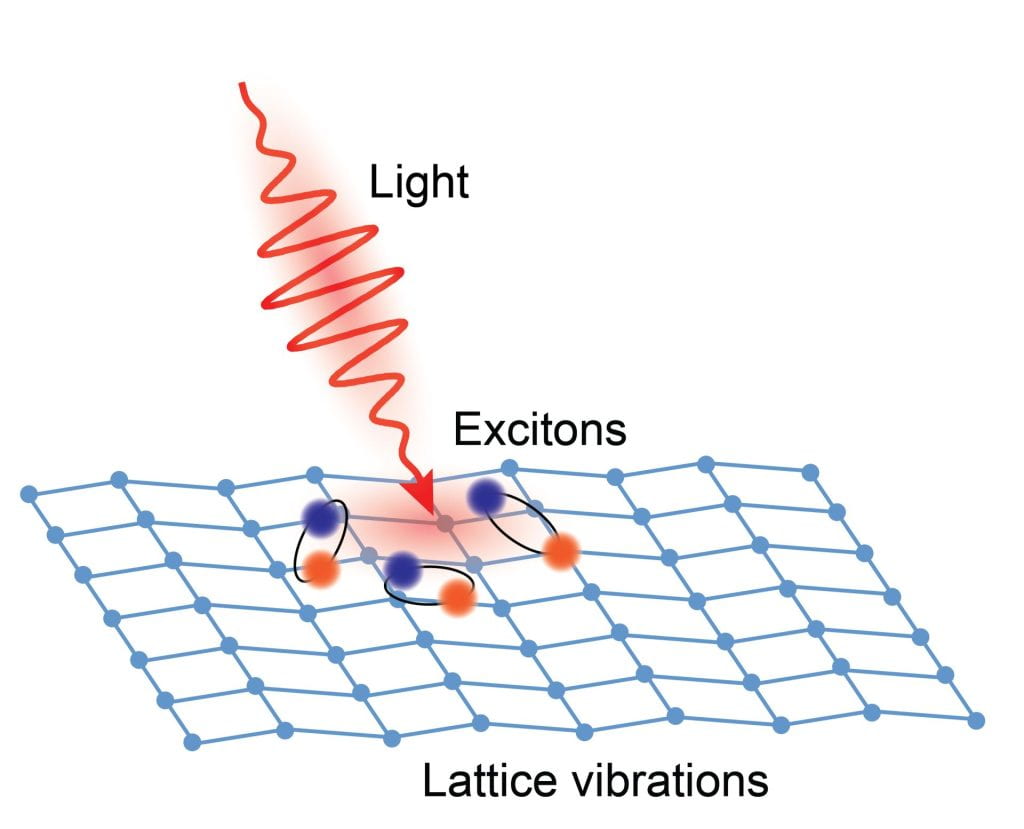 Exciton-phonon coupling and luminescence - The Yambo Project