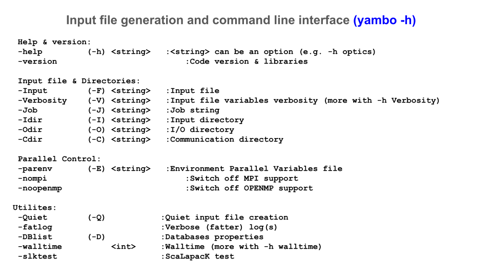 Input file and command-line interface (yambo)