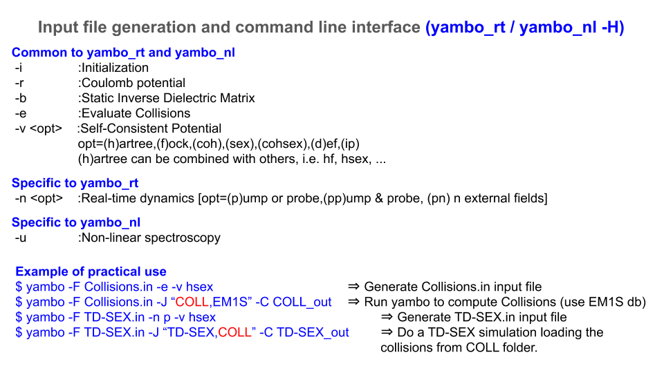 Yambo_rt input file generation