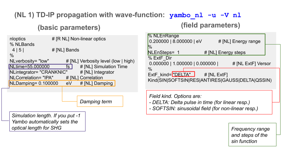 TD-IP propagation with wave-function